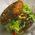 Liberation Double Cheeseburger W/ Anu’s Spicy Fries